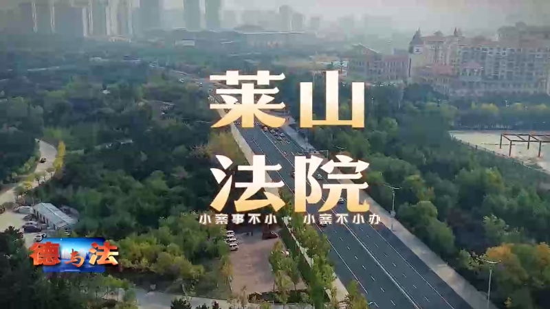 【德与法】莱山法院建院30周年暨“小案事不小、小案不小办”精品案例讲评会