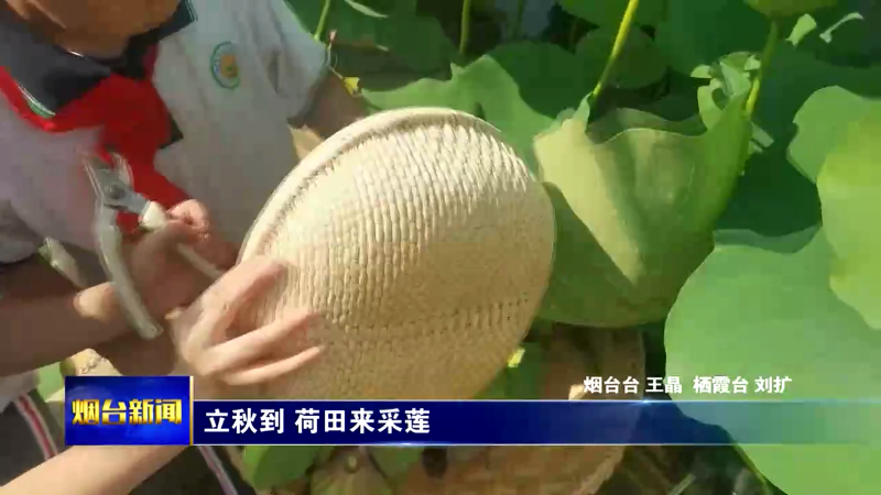 【烟台新闻】立秋到