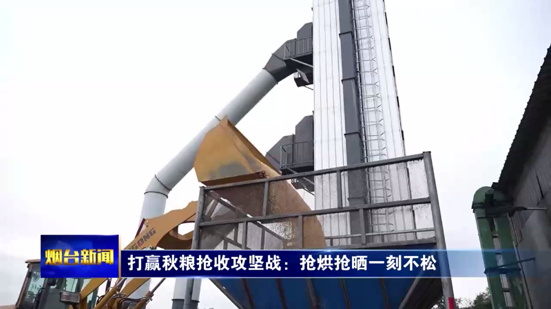 【烟台新闻】打赢秋粮抢收攻坚战：抢烘抢晒一刻不松