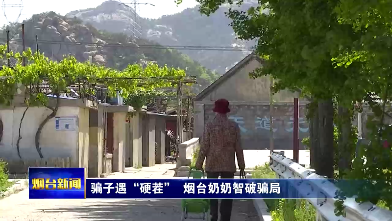 骗子遇“硬茬”  烟台奶奶智破骗局