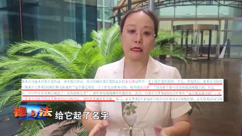 【德与法】投喂流浪猫，赔了4万8！