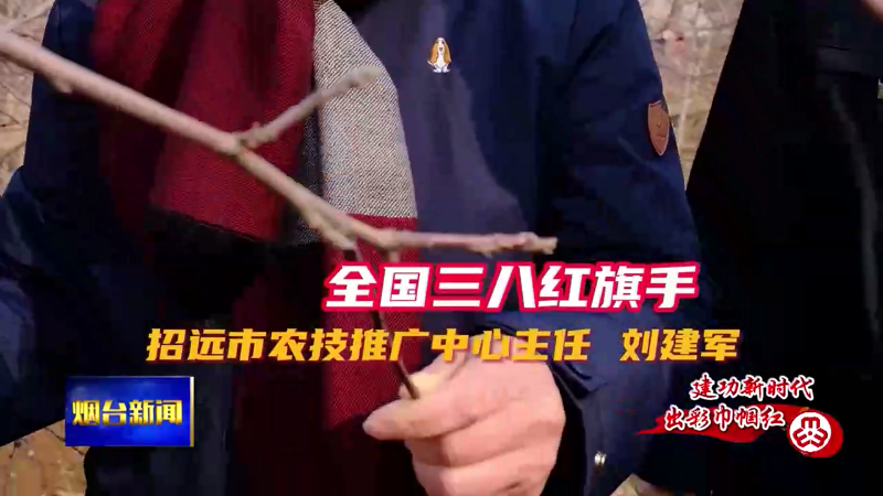【烟台新闻】全国三八红旗手：刘建军