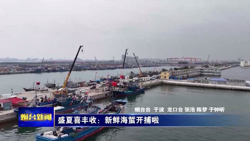 盛夏喜丰收：新鲜海蜇开捕啦