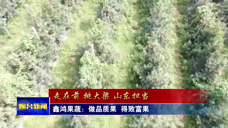 【烟台新闻】 鑫鸿果蔬：做品质果  得致富果