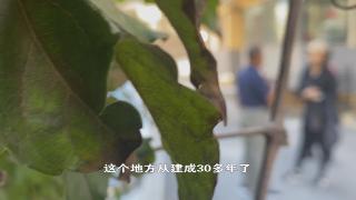 【社会广角】停车位之争