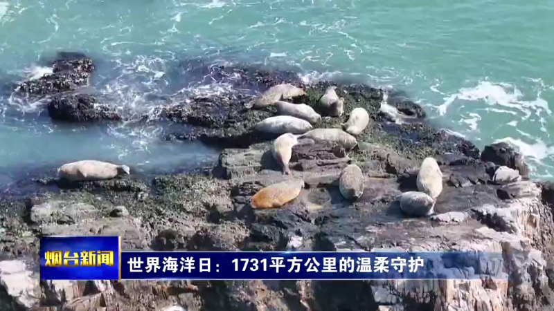 世界海洋日：1731平方公里的温柔守护